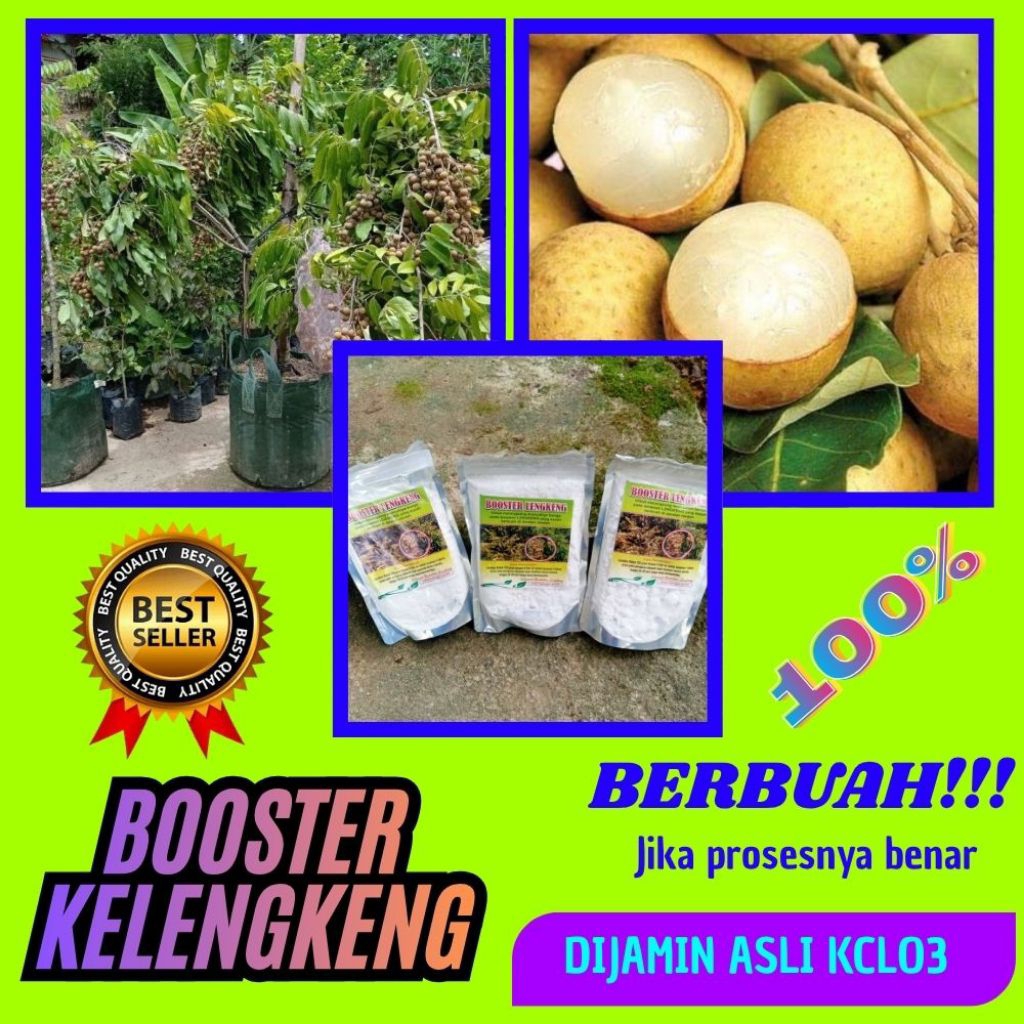 Boster Kelengkeng Buat Kelengkeng, Boster Kelengkeng Cair, Boster Kelengkeng Itoh