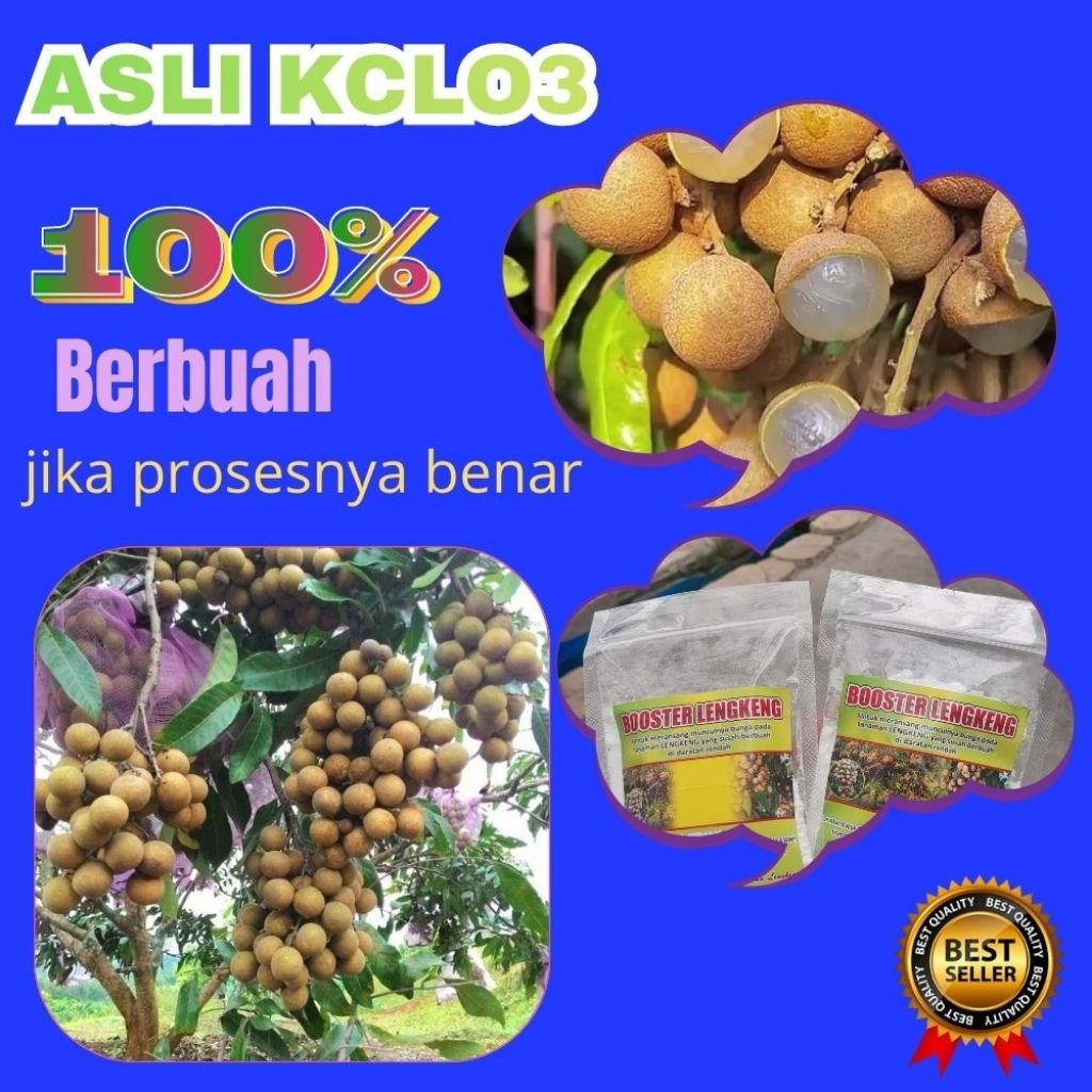Booster Kelengkeng Serbuk, Booster Kelengkeng Terbaik