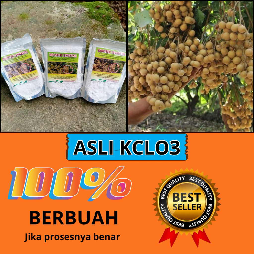 Booster Kelengkeng Serbuk, Booster Kelengkeng Terbaik