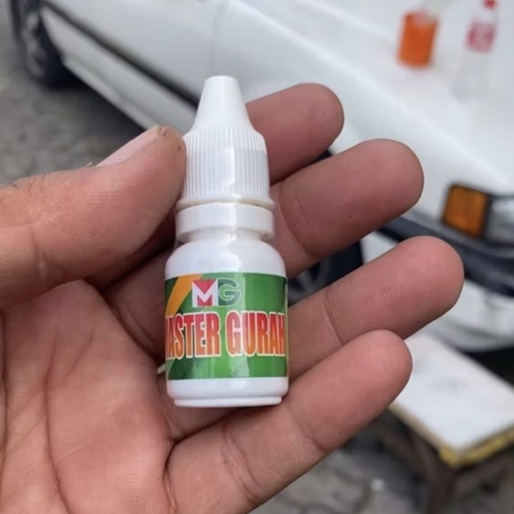 MASTER GURAH burung untuk murai cucak ijo lovebird kenari dan semua jenis burung gurah burung