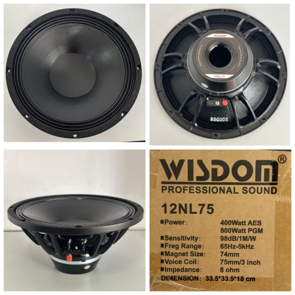 Speaker Komponen 12inc Wisdom 12 NL75 Original