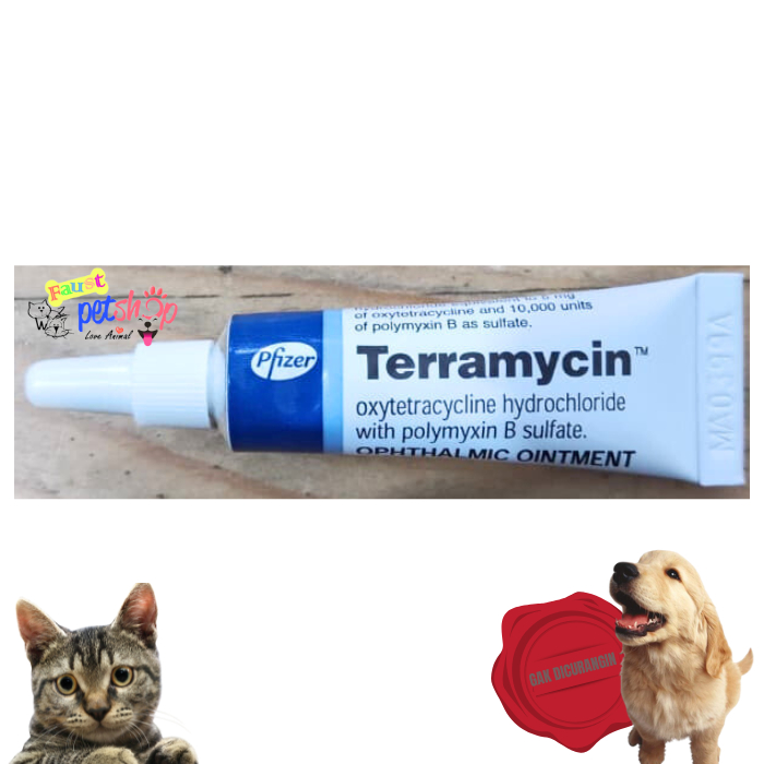 Pfizer Terramicin Salep Infeksi Mata Anjing & Kucing Obat Mata Anjing Obat Mata Kucing Salep Mata An