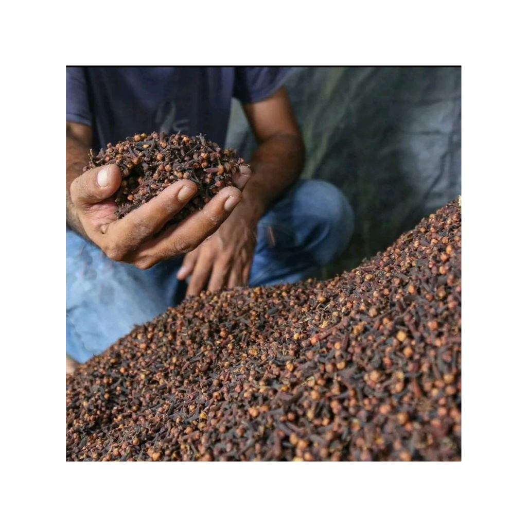 Cengkeh Kering | Rempah Cengkeh | kualitas super grade A
