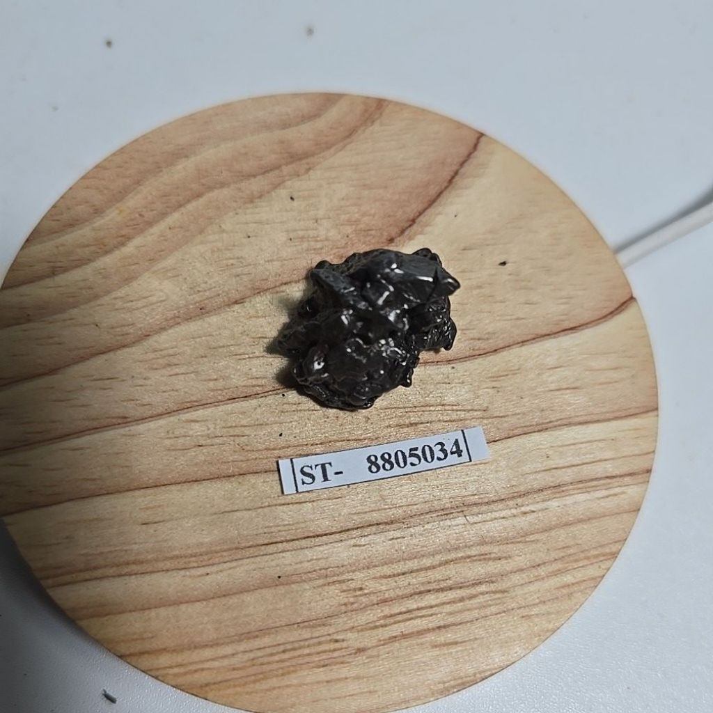 Campo del Cielo Iron Meteorite asli Gran Chaco Gualamba, Argentina