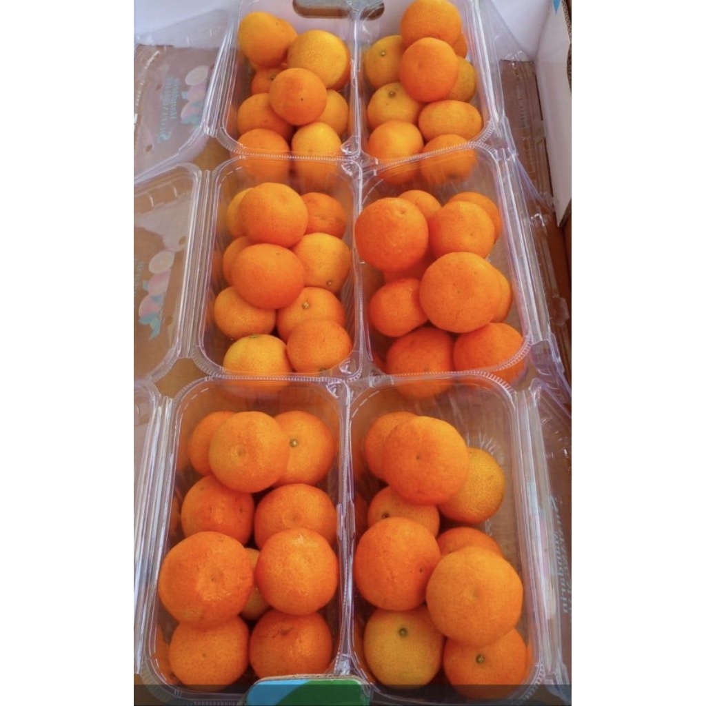 Jeruk Santang Mandarin Manis