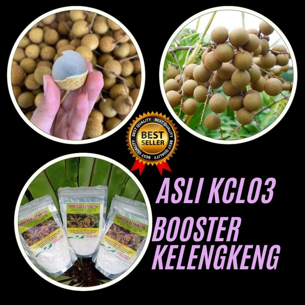 Boster Kelengkeng Kclo3, Boster Kelengkeng Kalium Klort, Boster Kelengkeng Murni 1 Kg