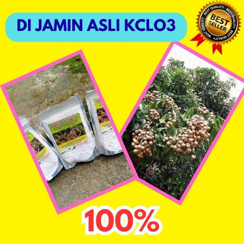 Boster Kelengkeng Murni 1 Kg, Boster Kelengkeng Kcl, Boster Kelengkeng Kclo3 Terdekat