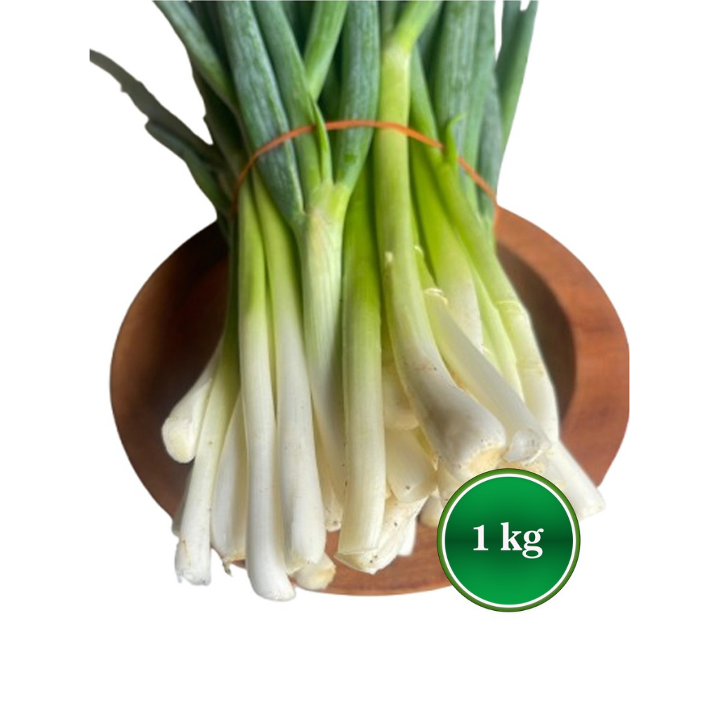 Bawang Daun / Bawang Prei / Daun Polong / Daun Bawang Kemasan 1 Kg