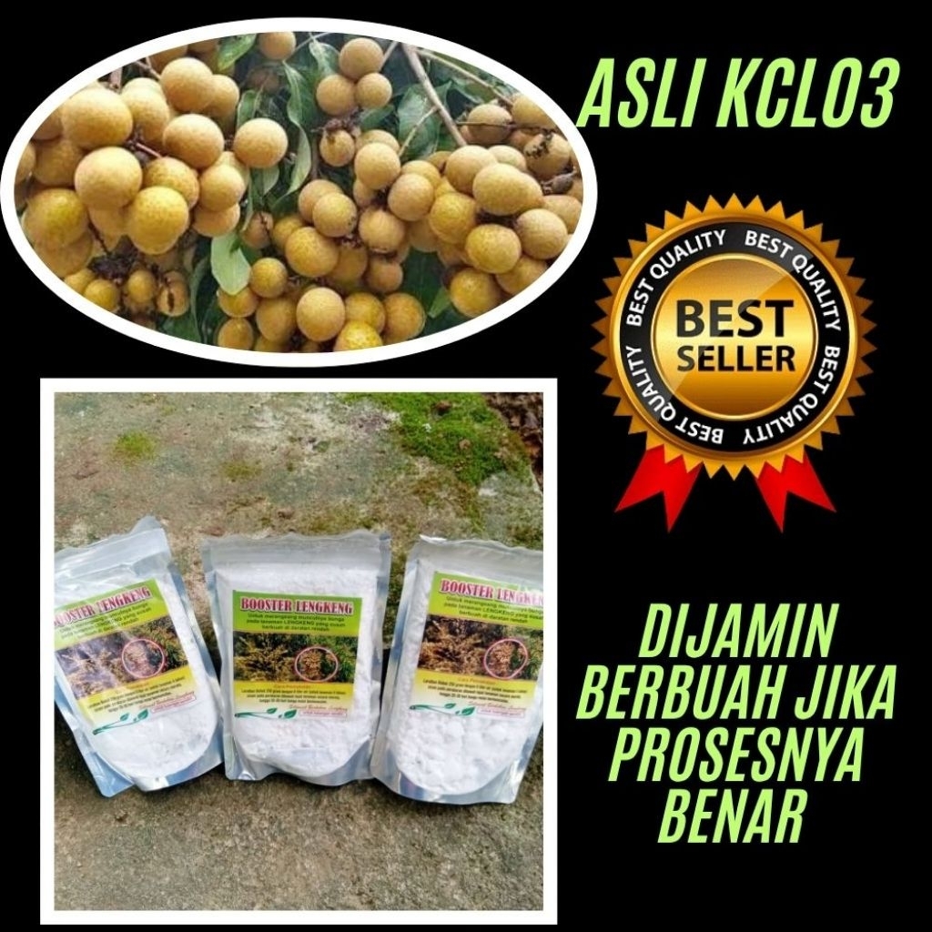 Booster Kelengkeng Kclo3, Booster Kelengkeng asli