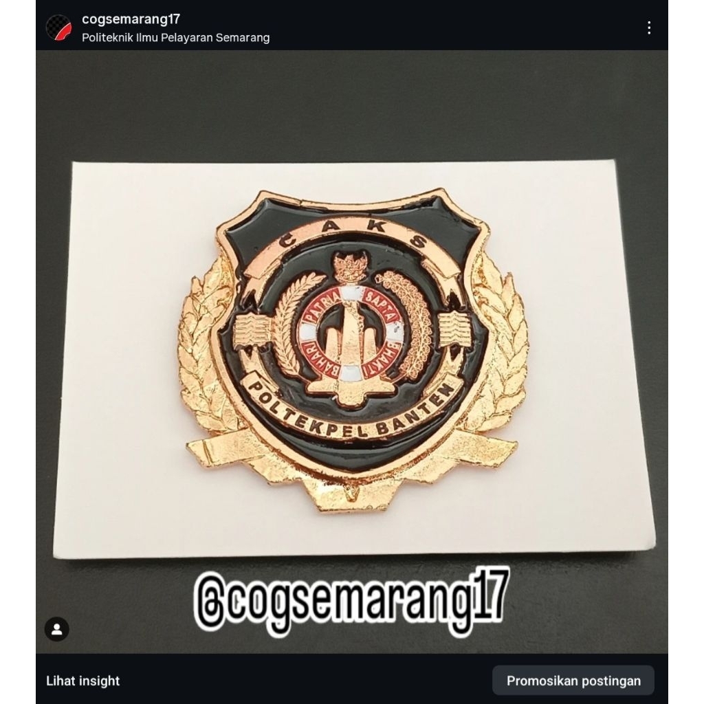 Pin Alumni Poltekpel Banten