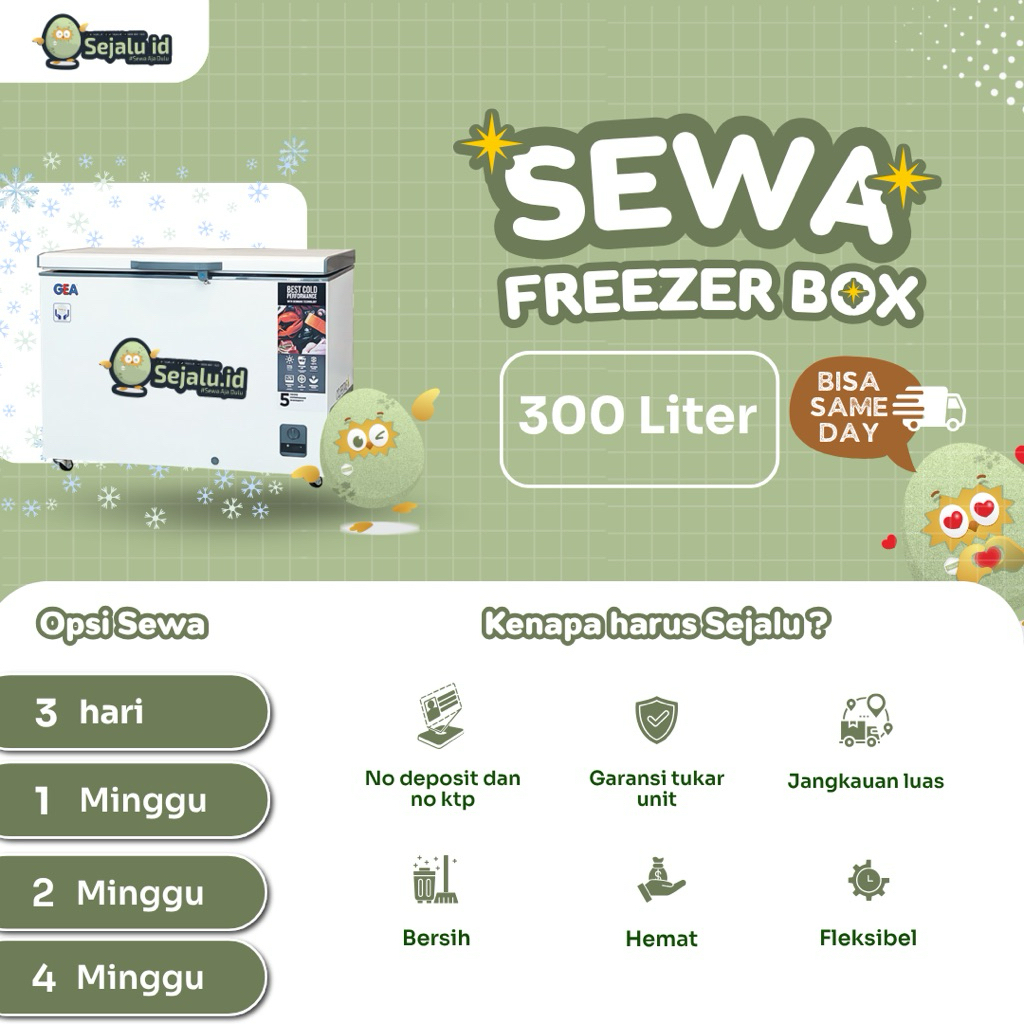 SEWA FREEZER 300 liter GEA AB 318