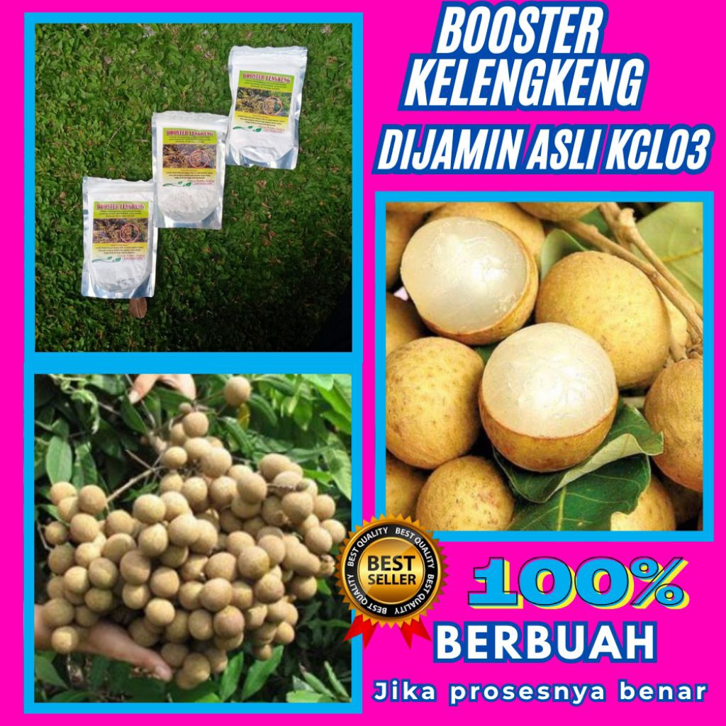 Booster Kelengkeng Terbaik, Booster Kelengkeng Terdekat
