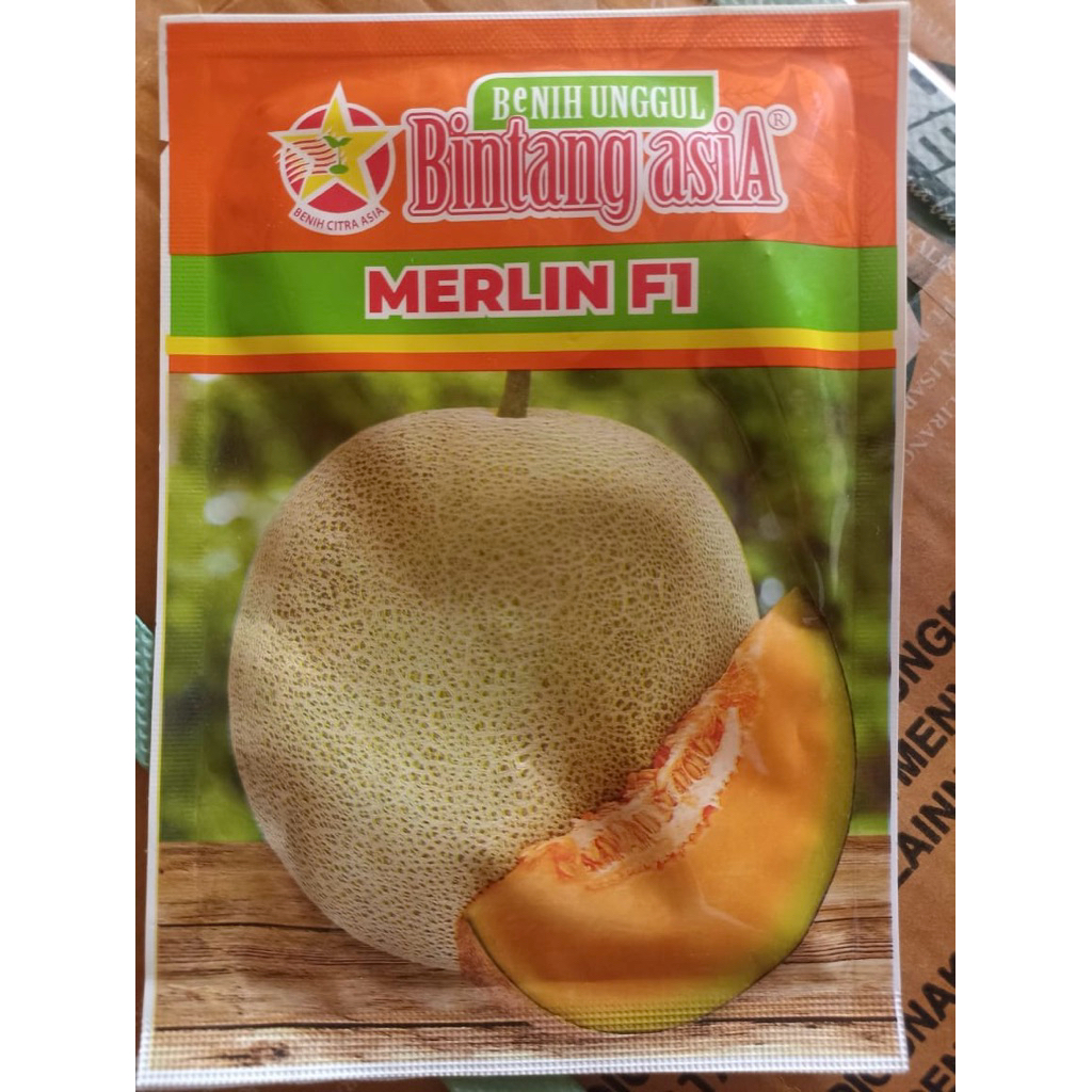 Bibit melon MERLIN F1 bintang asia BIBIT UNGGUL 20gr