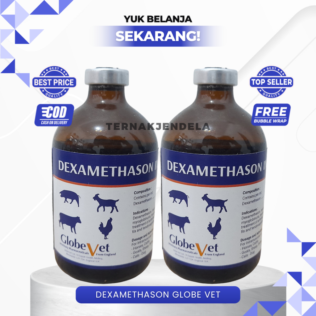 DEXA GLOBE VET 100 ml - DEXAMETHASON PANTEX HOLLAND