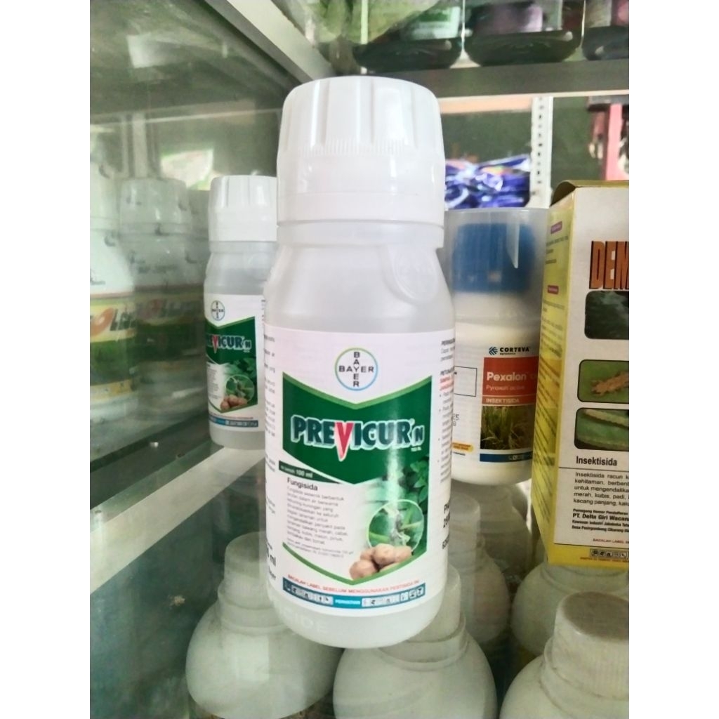 Fungisida Previcur 722 SL 100 ML