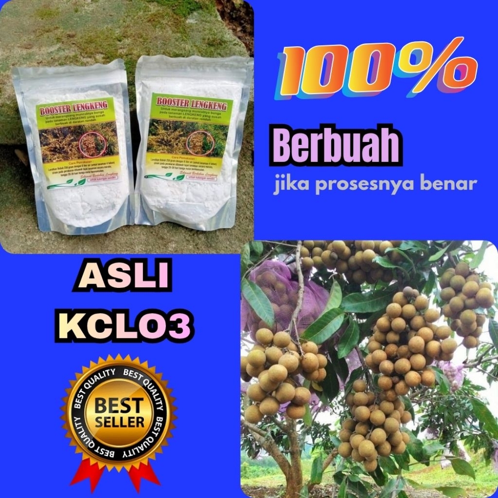 Boster Kelengkeng Murni 1 Kg, Boster Kelengkeng Kcl, Boster Kelengkeng Kclo3 Terdekat