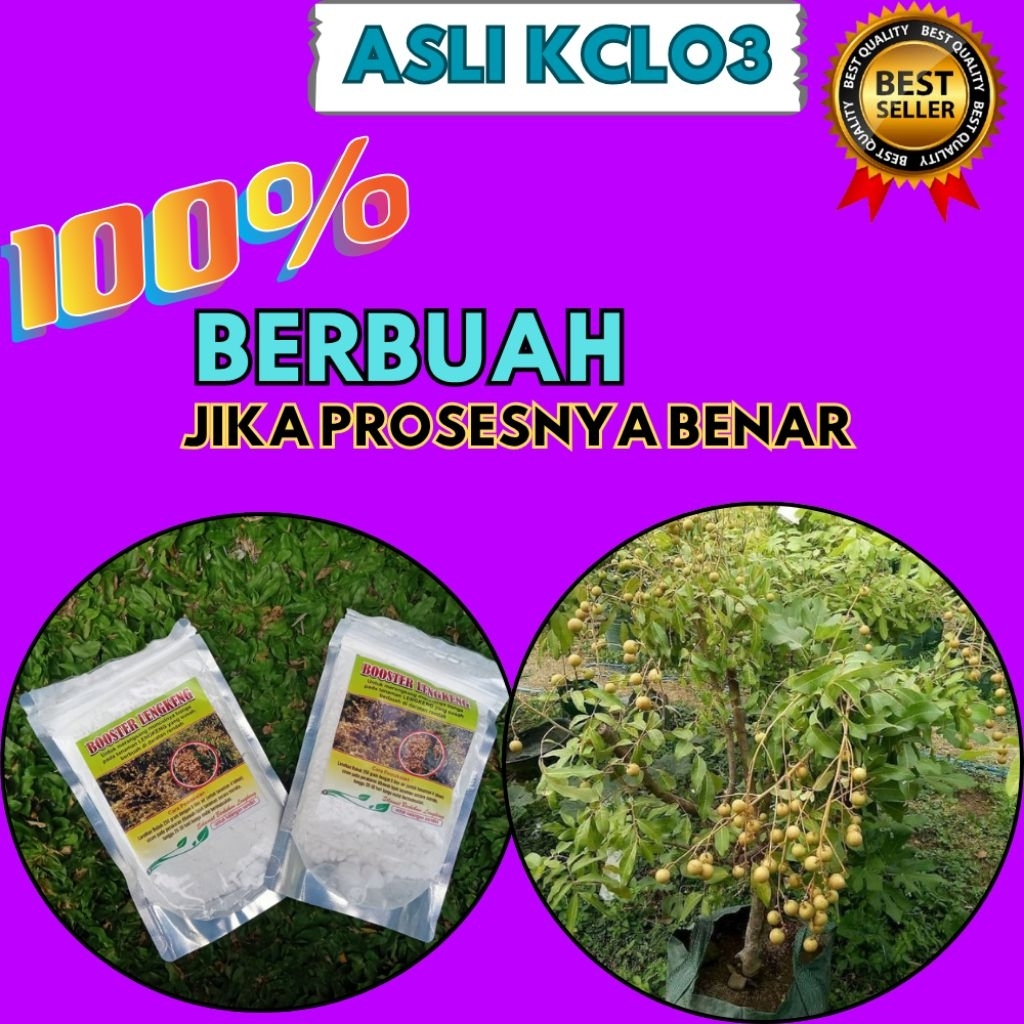 Boster Kelengkeng Murni, Boster Kelengkeng New Kristal, Boster Kelengkeng Nusantara