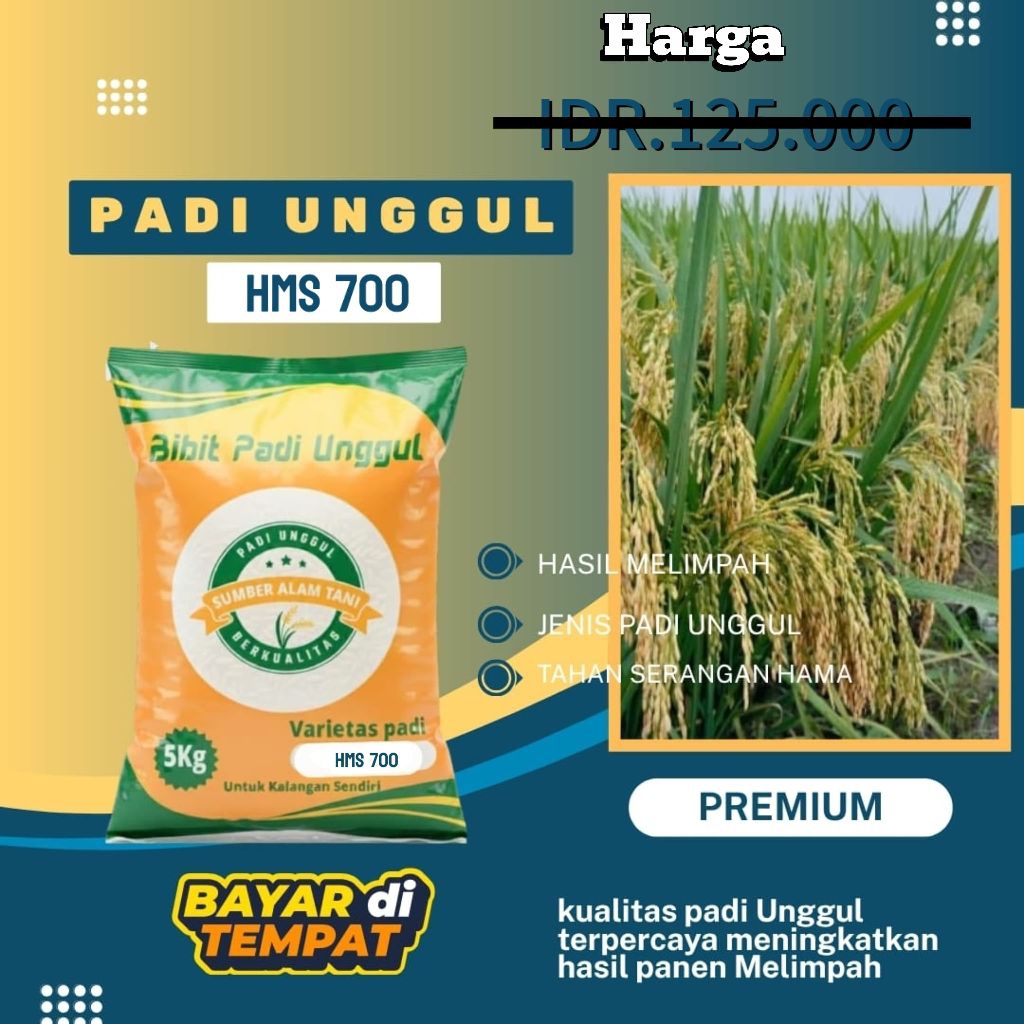 bibit padi unggul HMS 700 kemasan 5 kg