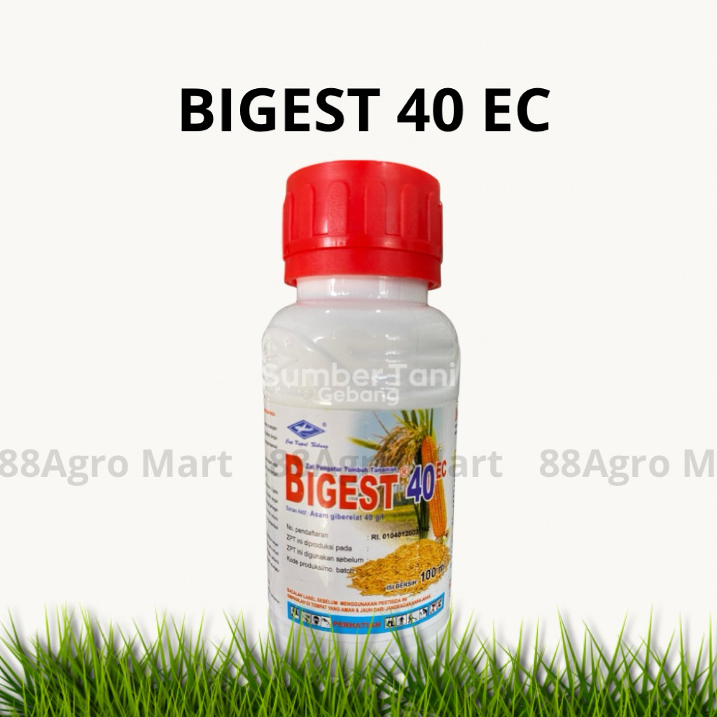BIGEST 100 ML ORIGINAL BIGEST ZPT