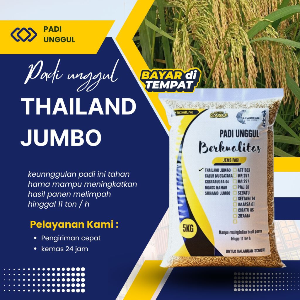 Benih padi Thailand jumbo 5kg