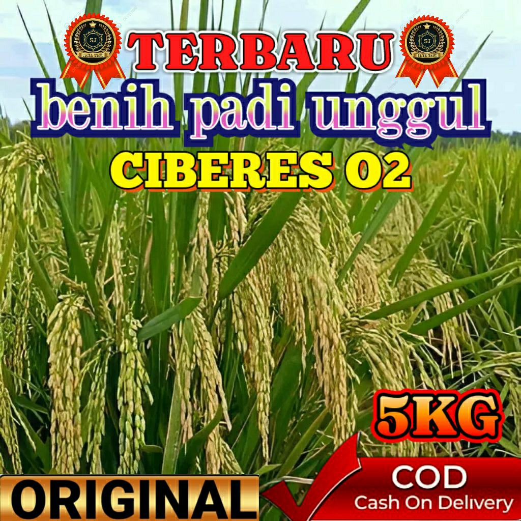 BENIH PADI UNGGUL (CIBERES 02) KEMASAN 5KG ORIGINAL