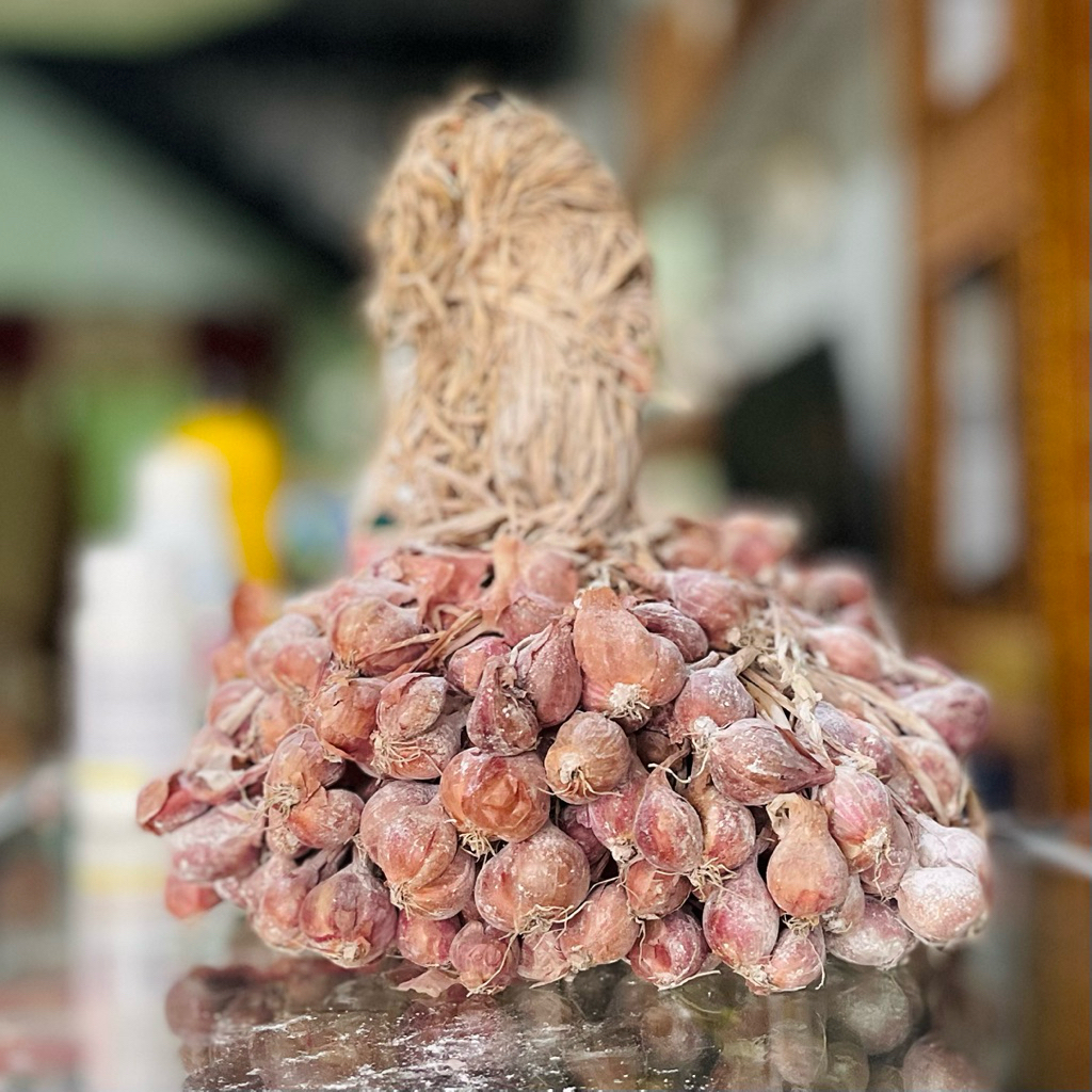 BIBIT BAWANG MERAH TAJUK NGANJUK (SIAP TANAM)