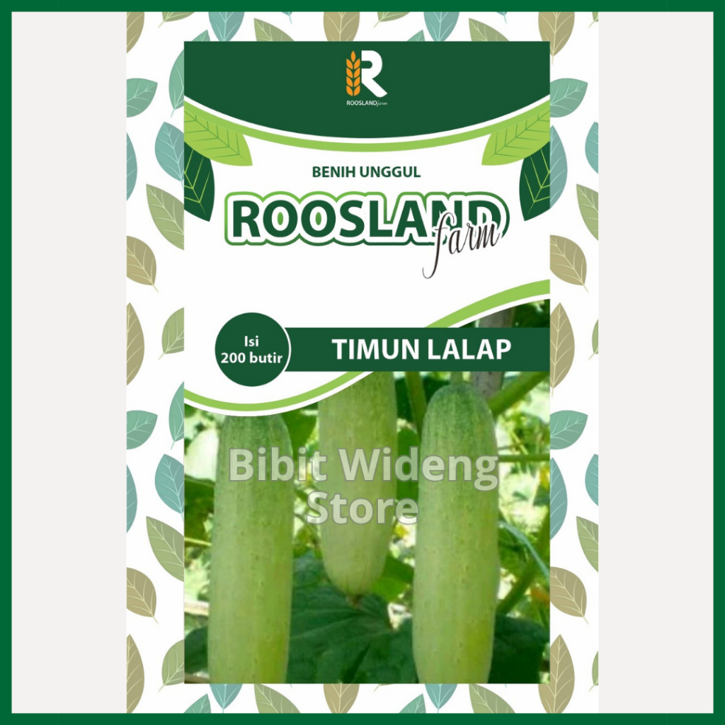 ( 200 BENIH ) TIMUN LALAP | TIMUN HIJAU LALAB | MENTIMUN | KETIMUN