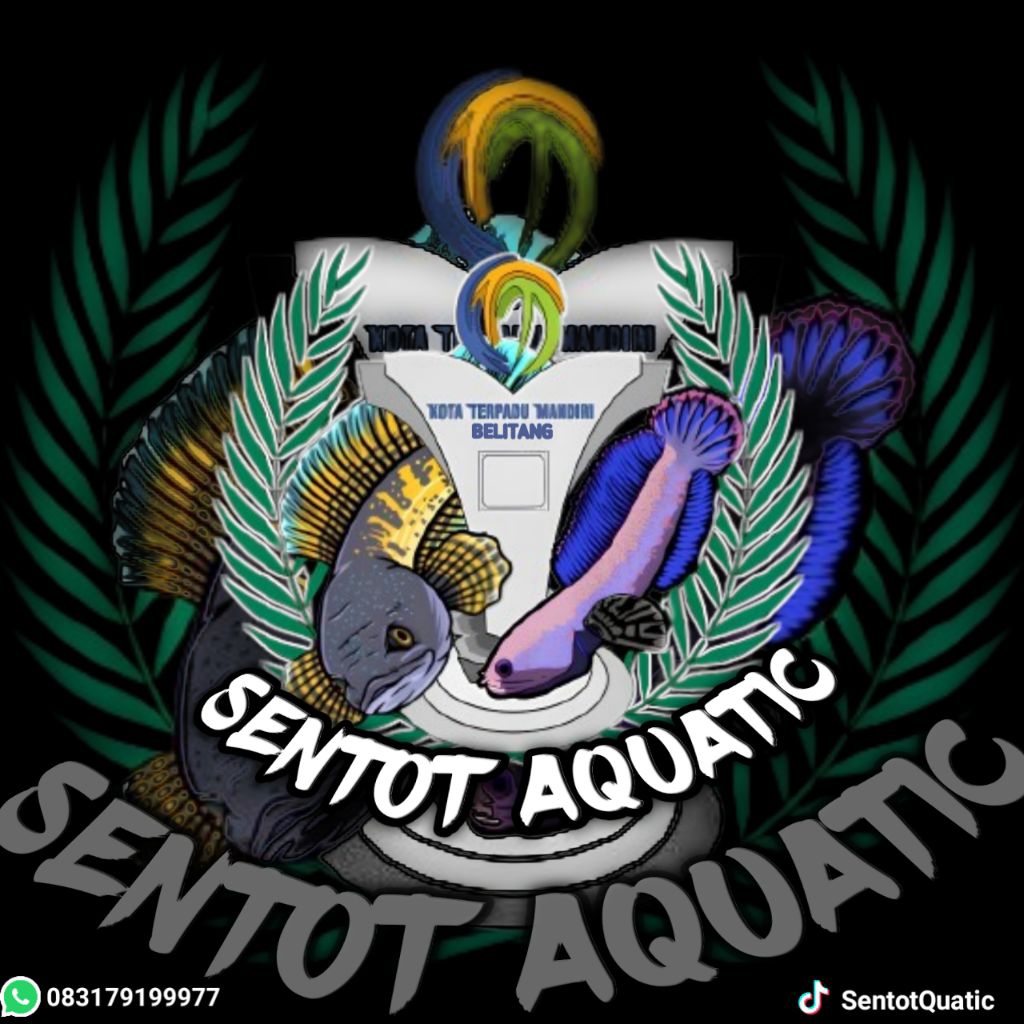 Channa andrao 6-7cm Garansi Seluruh Indonesia