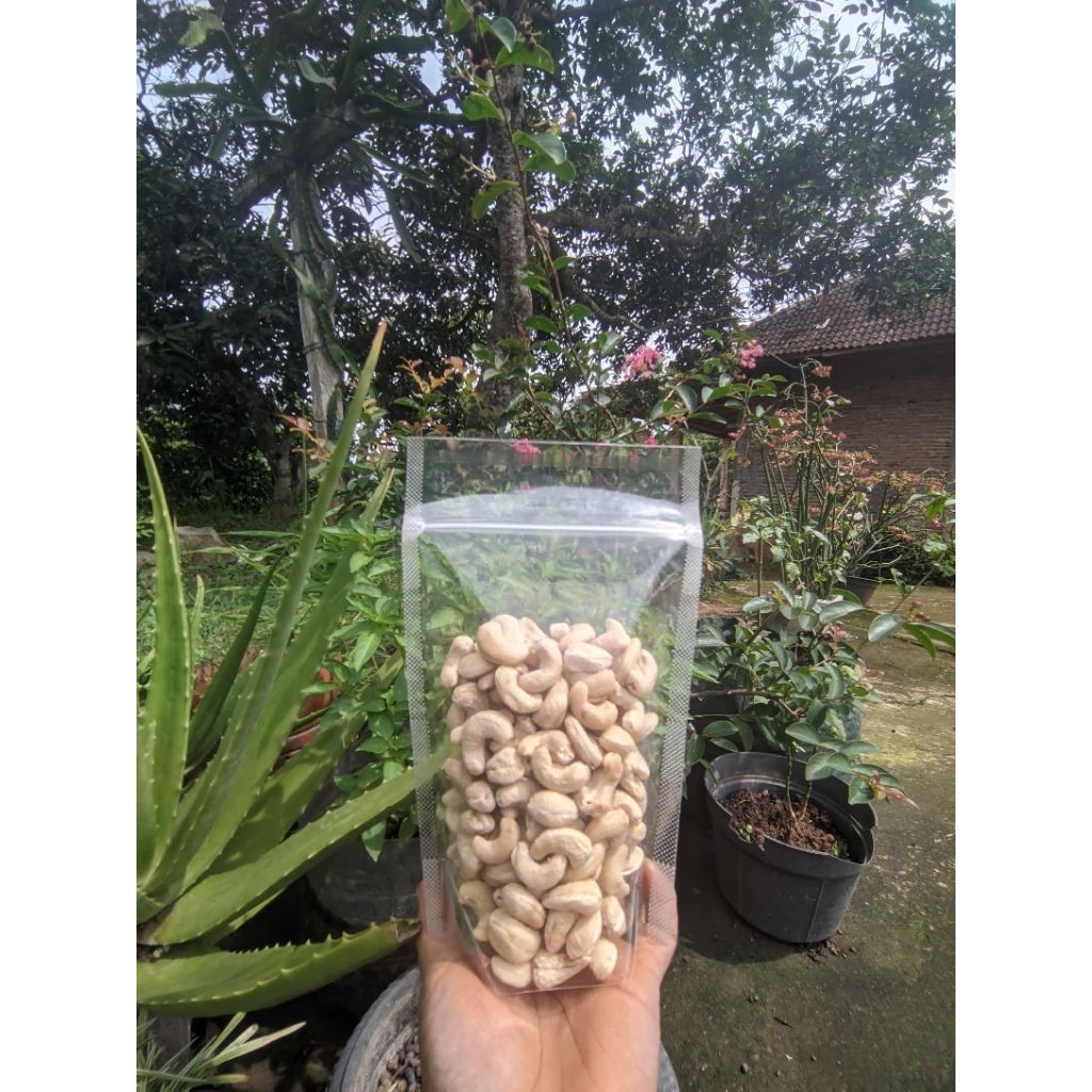 KACANG METE WONOGIRI MENTAH 1 KG