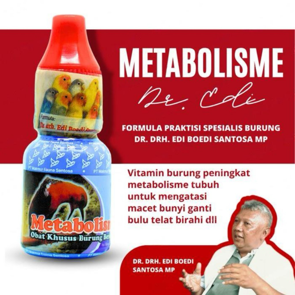 METABOLIS ORIGINAL DR EDI METABOLISME BURUNG PLECI MURAI BATU KENARI KICAU DR EDI