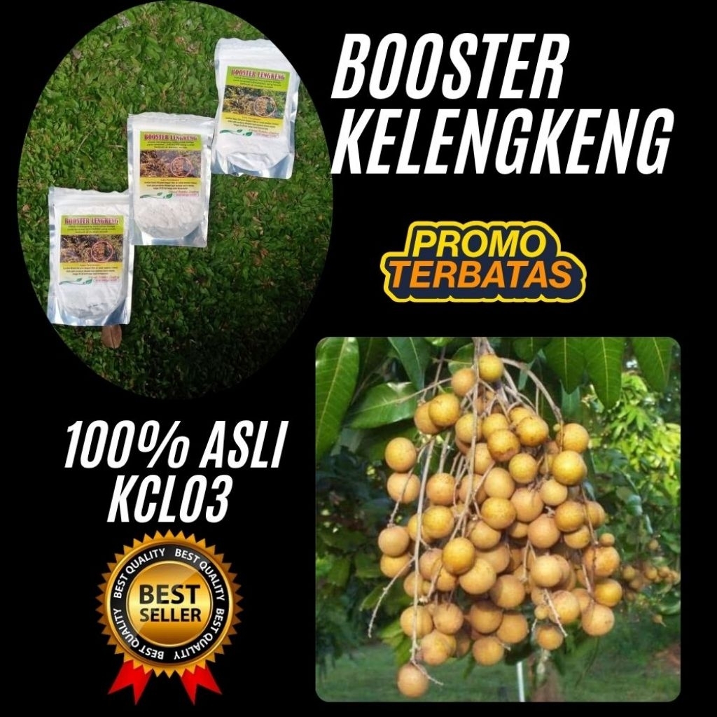 Booster Kelengkeng Serbuk, Booster Kelengkeng Terbaik