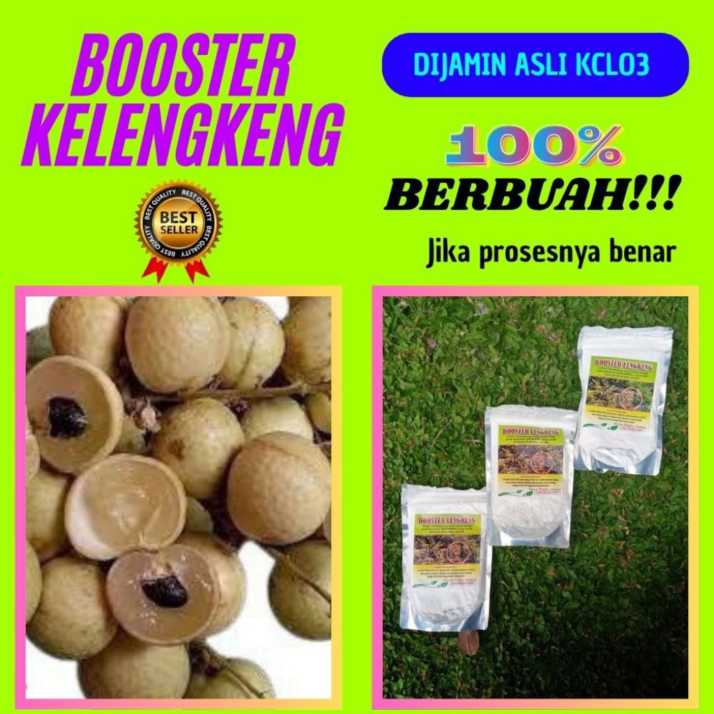 Booster Kelengkeng Terbaik, Booster Kelengkeng Terdekat