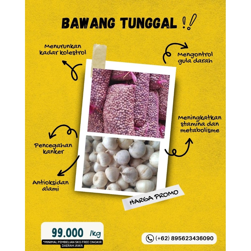 Bawang Tunggal / Bawang Lanang
