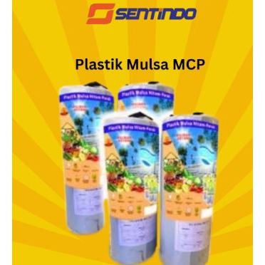 Plastik Mulsa MCP Awet dan berkualitas - Plastik Mulsa Pertanian - Plastik Mulsa murah - Mulsa tani