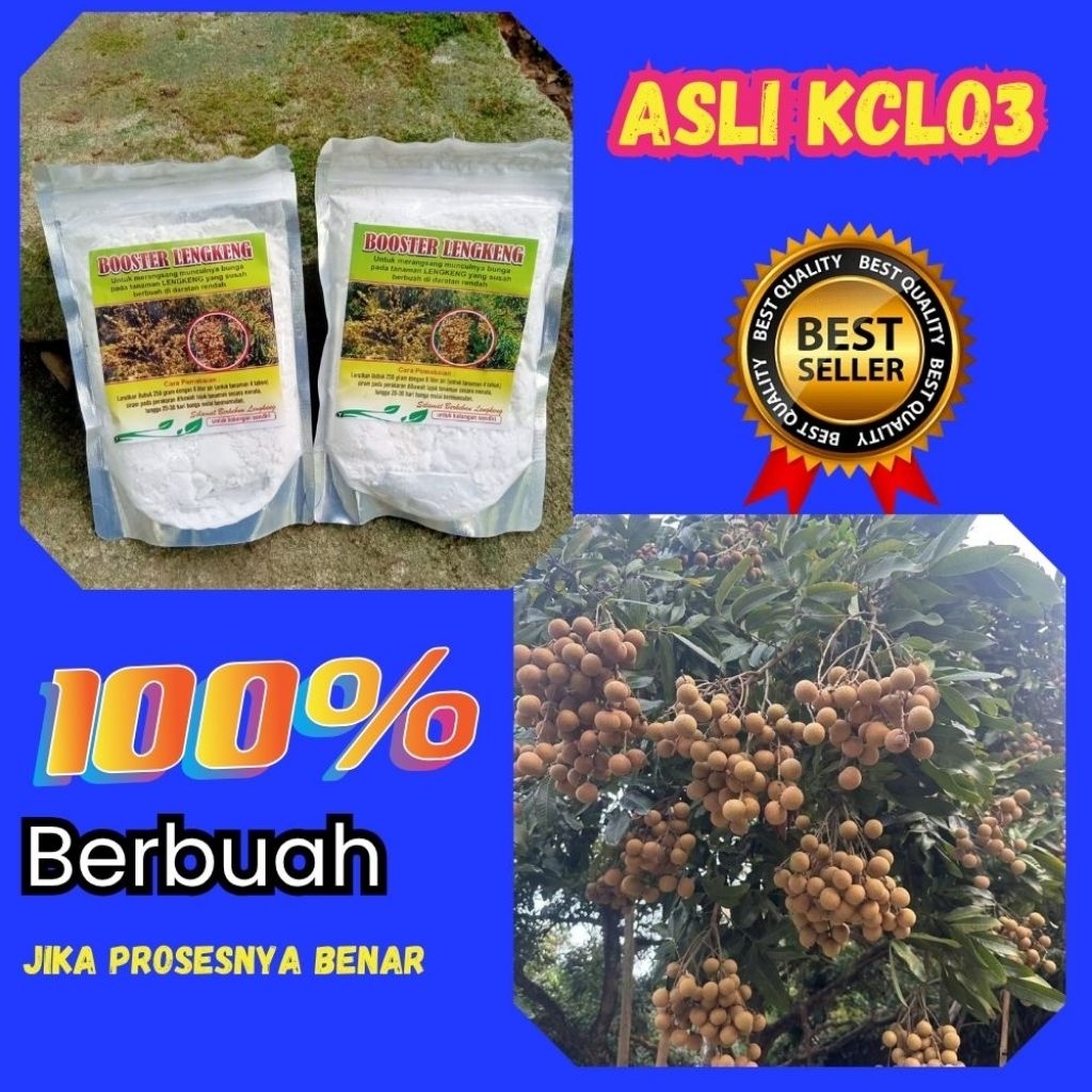Pupuk Kelengkeng Kclo3