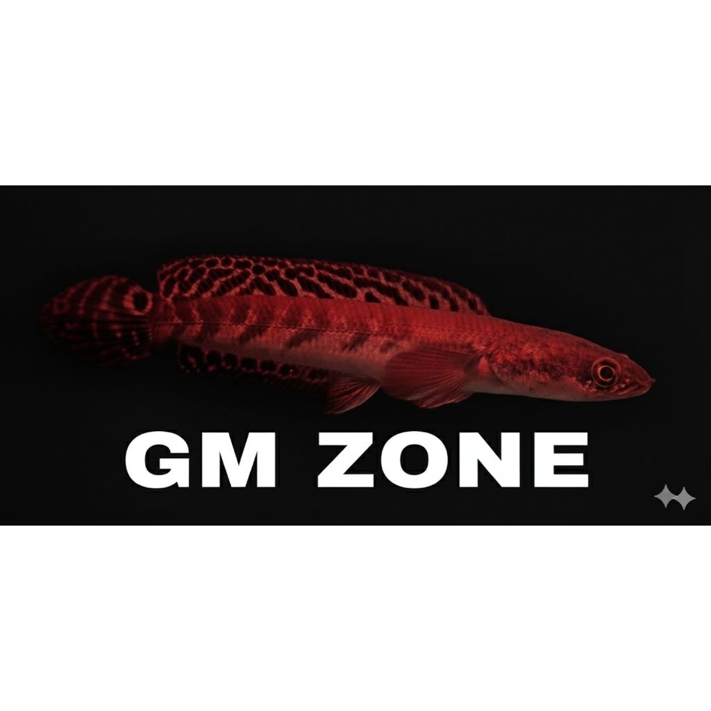 Hiasan Aquarium Maru Red Barito