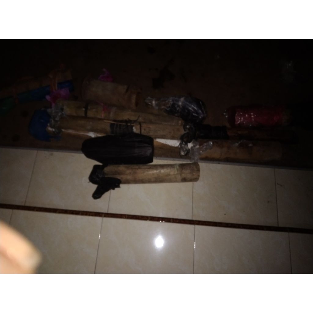 koloni lebah klanceng / kelulut