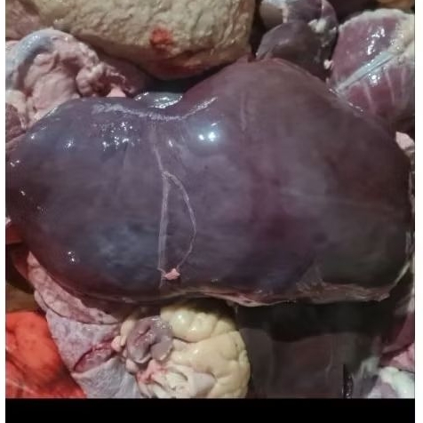 ATI SAPI FRES/LOKAL 1KG