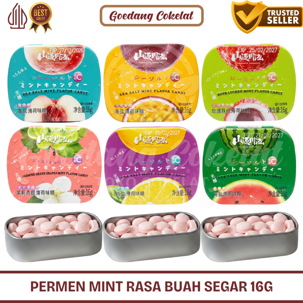 Permen Viral Mint Kaleng Yamamoto 16g Aneka Rasa Buah Sea Salt Candy Import China Halal