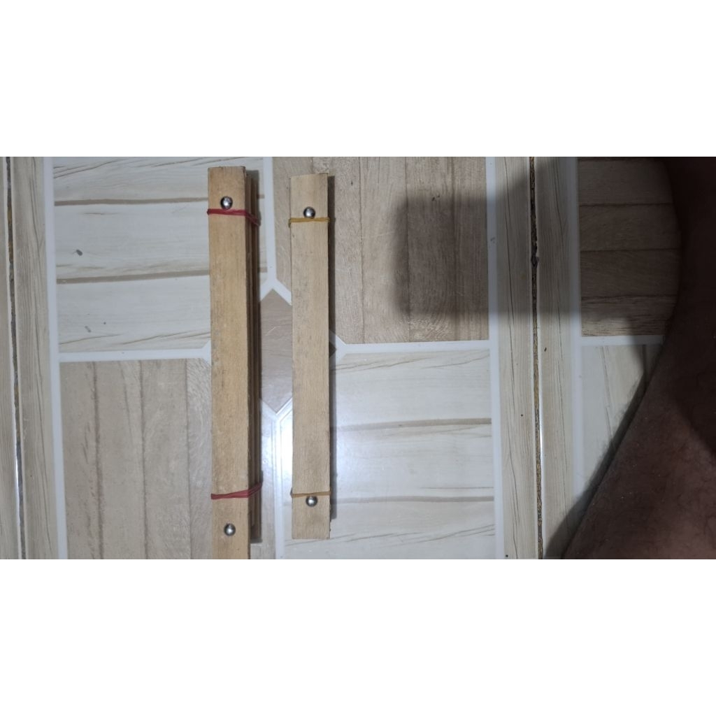 MEDIA PANCINGAN MAGGOT BSF / KAYU TELUR MAGGOT BSF