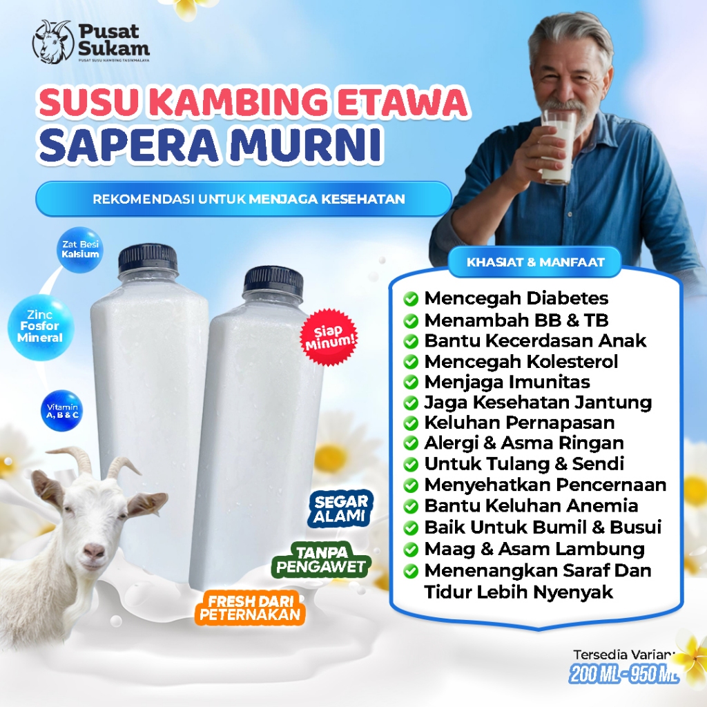 Susu Kambing Etawa Murni Sapera Saanen Dan Peranakan Fresh Tanpa Campuran