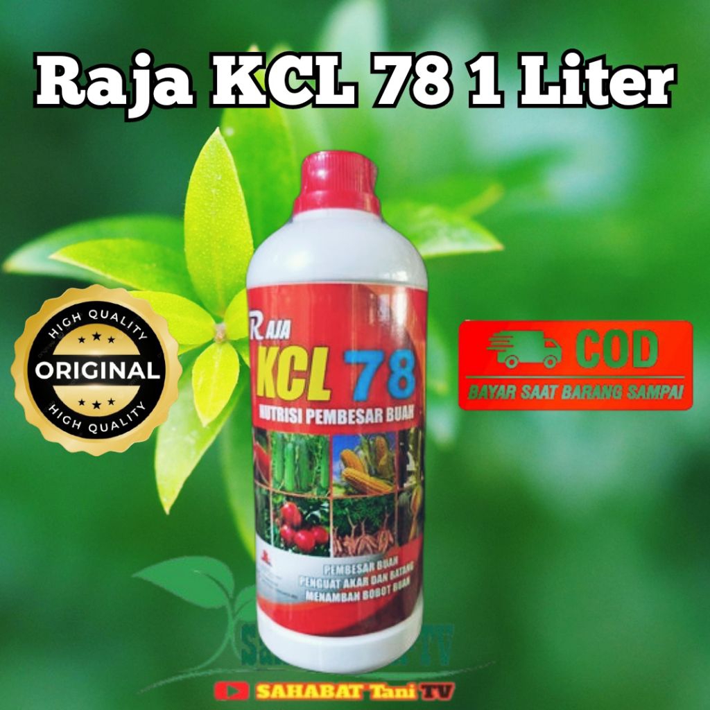 RAJA KCL 78 NUTRISI PEMBESAR UMBI & BUAH-1LITER