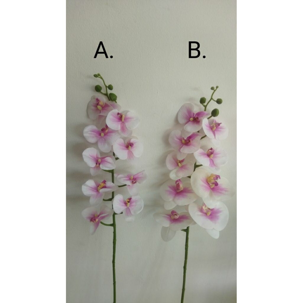 Anggrek Bulan Lateks Latex Premium Putih Gradasi Ungu