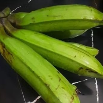 Pisang raja nangka