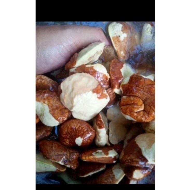 Gayam fresh segar besar besar (mentah)