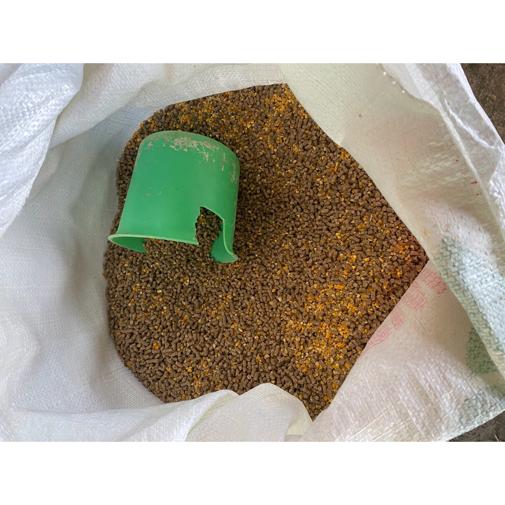 Pur ayam petelur, merk 324KJ