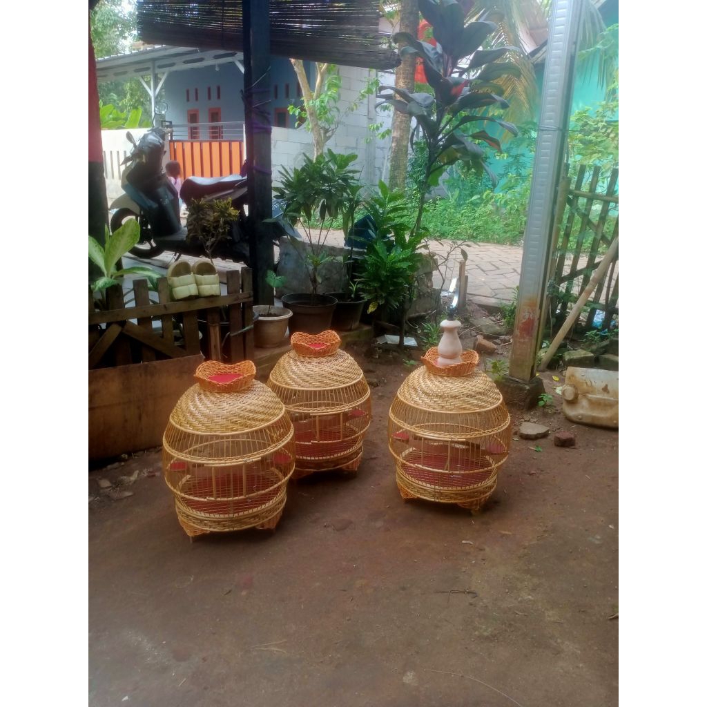 sangkar perkutut minion