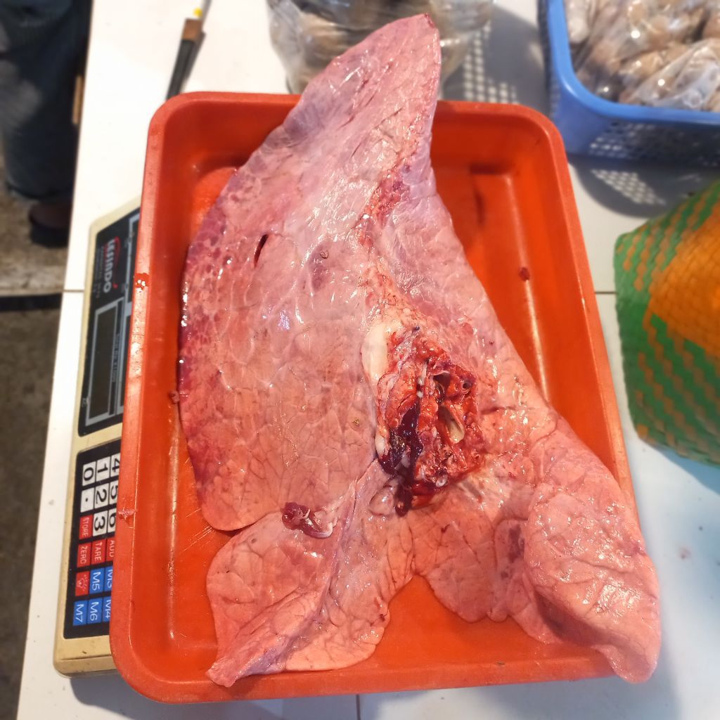 Paru sapi segar pilihan