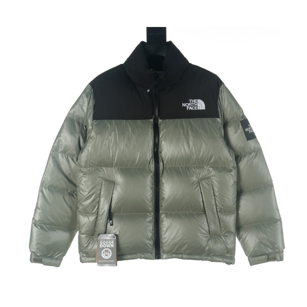 Down Puffer Jacket TNF 700 Retro Novelty Nuptse