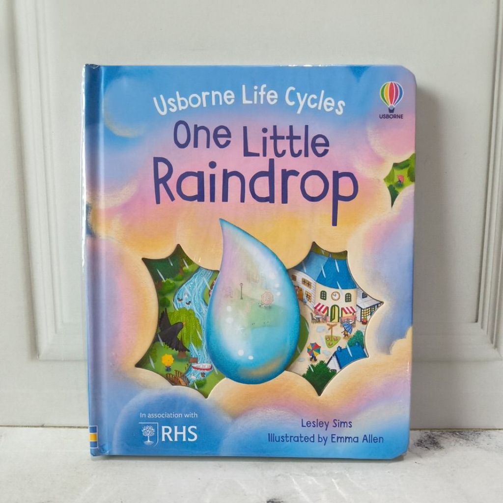 Usborne Life Cycles One Little Raindrop / buku anak / children book